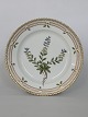 Flora Danica
Plate 19,5 cm. 
Royal Copenhagen