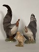 Hahn, Henne
& Hähnchen
Royal Copenhagen
Porzellan
