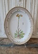 Royal Copenhagen Flora Danica oval dish no. 3517