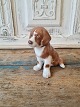 B&G figure - saint Bernhard puppy no. 1926