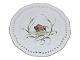 White Flora Danica
Luncheon plate decorated with musk ox from 1840-1893