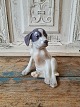 Royal Copenhagen figure - Pointer puppy no. 206