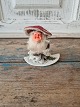 Old pinecone elf