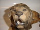 Large Royal Copenhagen Figurine, Lion 