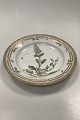 Royal Copenhagen Flora Danica Dinner Plate No. 20 / 3549