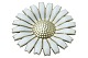 Michelsen Silver
Large Daisy brooch
