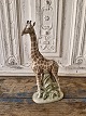 Text zug&auml;nglich auf D&auml;nische