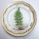 Royal Copenhagen Flora Danica. Mittagessen Platte mit durchbrochener kante. 
Entwurf # 3554. Durchmesser 23 cm. (1 Wahl). Hergestellt vor 1890. Lastrea 
cristata Presl