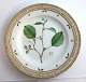 Royal Copenhagen Flora Danica. Dinner plate. Design # 3549. Diameter 25 cm. (1 
quality). Alnus incana Dc