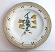 Royal Copenhagen Flora Danica. Dinner plate. Design # 3549. Diameter 25 cm. (1 
quality). Spartium scoparium L