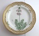 Royal Copenhagen. Flora Danica tallerken med gennemskåret bort. Diameter 25 cm. Model 3553. ( 1 sortering ). Hottonia palustris L