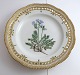 Royal Copenhagen. Flora Danica tallerken med gennemskåret bort. Diameter 25 cm. Model 3553. ( 1 sortering ). Polemonium humile Willd