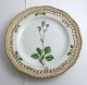 Royal Copenhagen, Flora Danica. Frokost tallerken med gennemskåret bort. Design #3554. Diameter 23 cm. (1 sortering). Saxifraga nivalis L