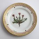 Royal Copenhagen, Flora Danica. Kage tallerken. Design #3552. Diameter 14,5 cm. (1 sortering). Silene acaulis L