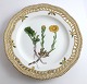 Royal Copenhagen, Flora Danica. Frokost tallerken med gennemskåret bort. Design #3554. Diameter 23 cm. (1 sortering). Tussilago farfara L