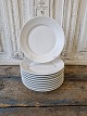 Royal Copenhagen Hvid halvblonde frokosttallerken no. 622 - 22 cm.