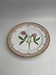 Royal Copenhagen Flora Danica Frokosttallerken No. 20/3550