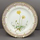 Royal Copenhagen, Flora Danica; Middagstallerken 25,5 cm nr. 3549