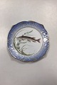 Royal Copenhagen Blåt Fiskestel Tallerken No. 19/3002