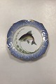 Royal Copenhagen Blåt Fiskestel Tallerken No. 19/3002