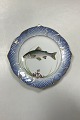 Royal Copenhagen Blåt Fiskestel Tallerken No. 19/3002