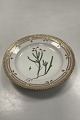 Royal Copenhagen Flora Danica Salat Tallerken No. 20/3573