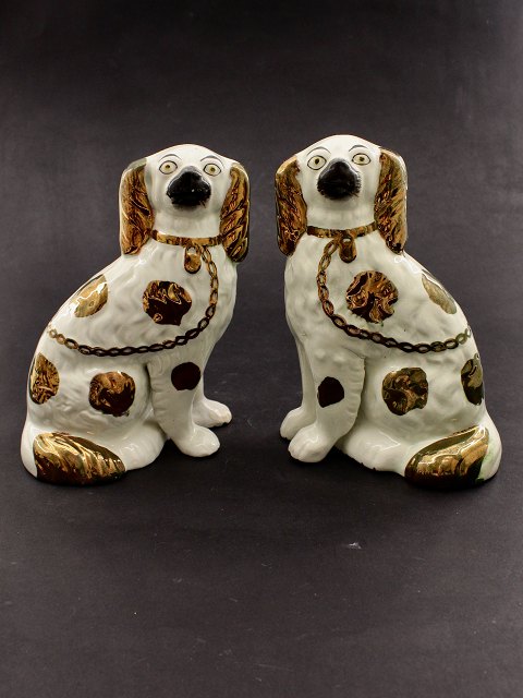 Staffordshire spaniels